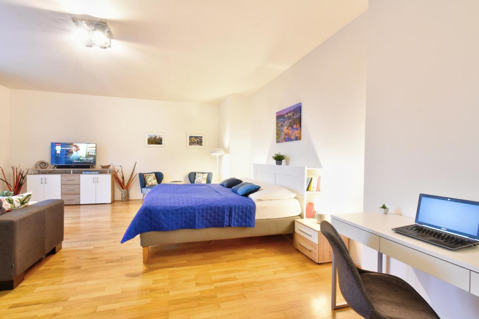Karlsbad Apartment Apartmán Karlovy Vary